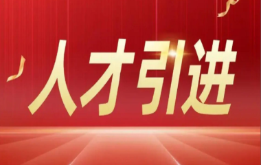 湛江市高层次人才引进补贴及安居保障政策详解